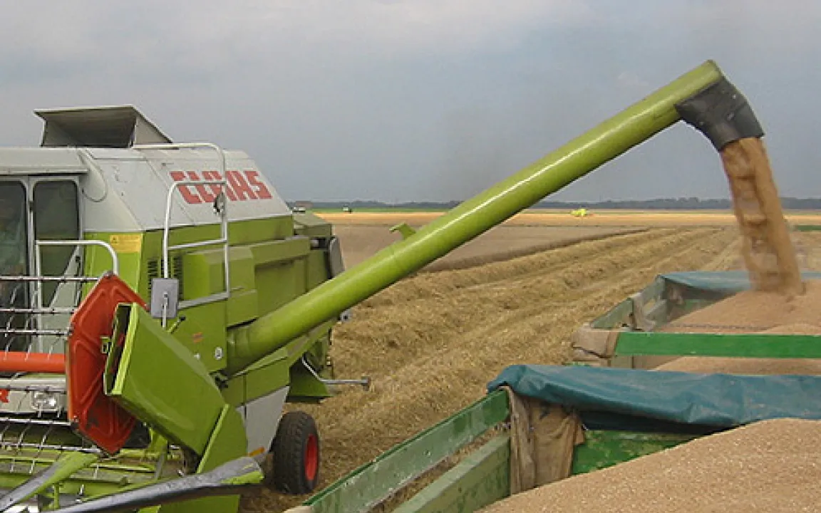 Wohin mit der Riesen-Getreideernte?