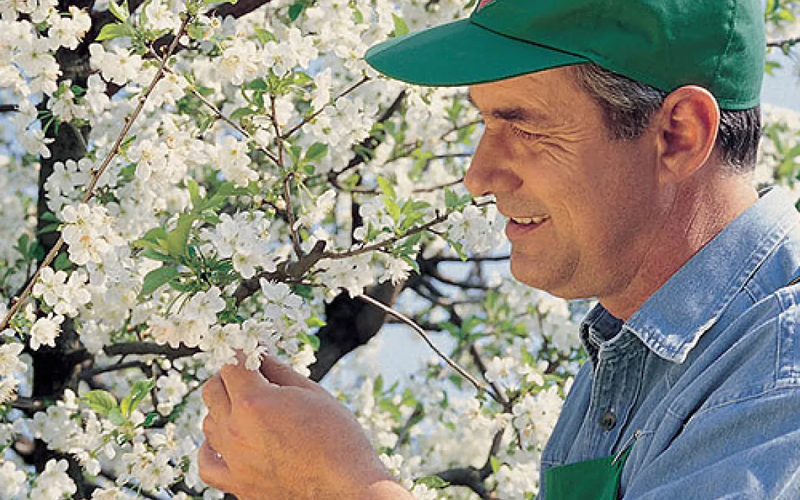 Das Gartenjahr beginnt 