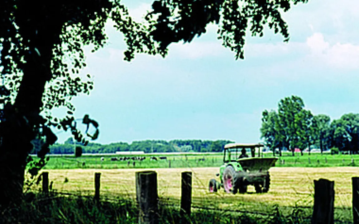 Auch Wiesen und Weiden brauchen Düngung