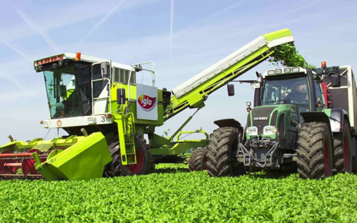 Frisches oder tiefgekühltes Gemüse - punkten für die Gesundheit