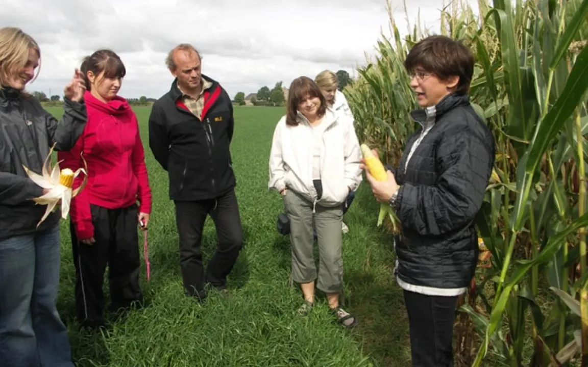 Lehrer lernen Landwirtschaft 