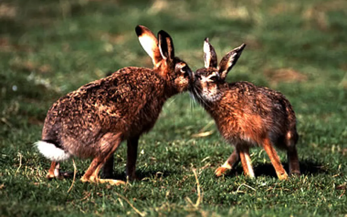 Zahlen, Daten, Fakten 02/05