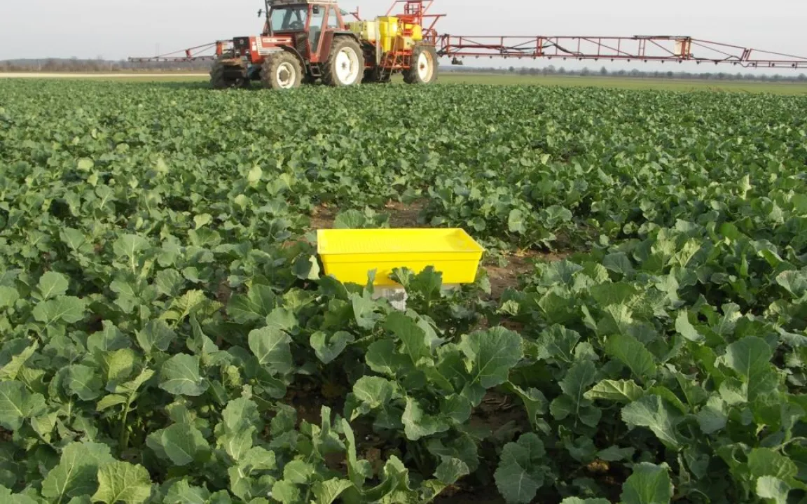 Die Natur im Nordosten startet Aufholjagd