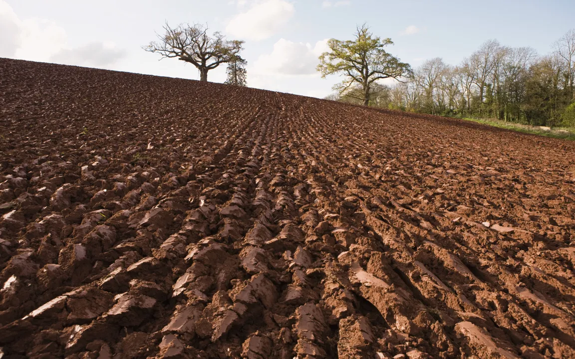 Moderne Landwirtschaft sichert gesunde Böden