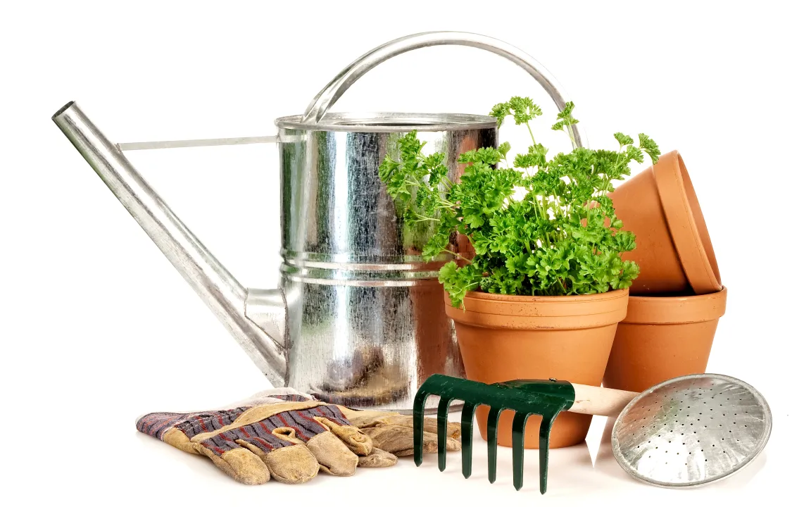 Gesunde Pflanzen in Haus und Garten