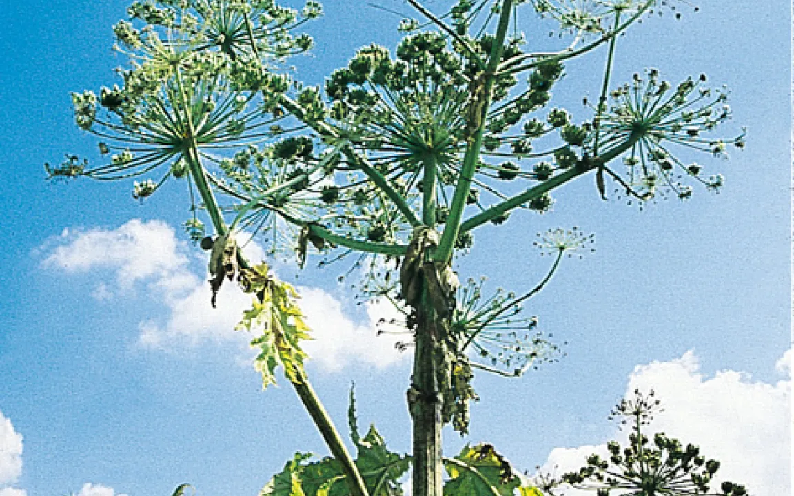 Hautkontakt vermeiden 