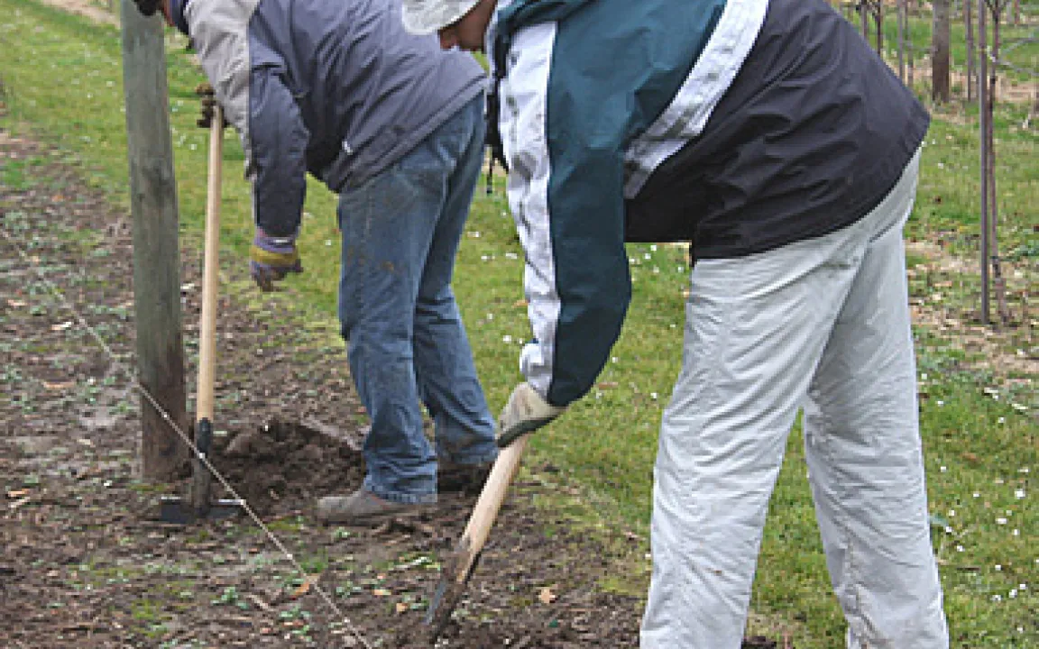 Graben oder nicht graben? 