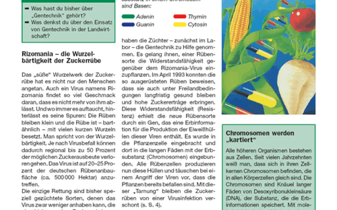 Grüne Gentechnik auf Erfolgskurs 