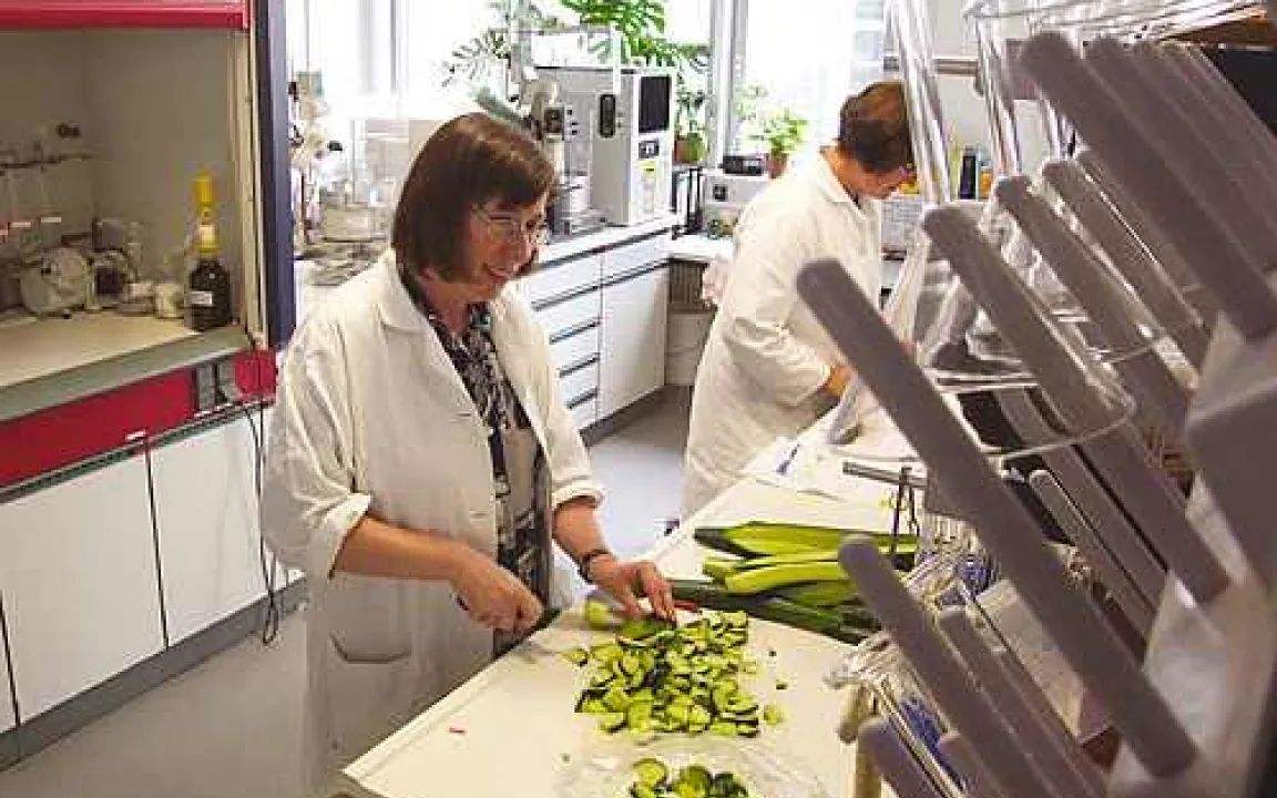 Obst, Gemüse und Getreide: EU-weit weniger Pflanzenschutzmittelrückstände