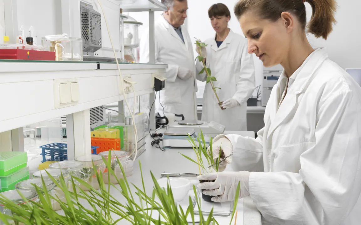 Gentechnikforschung in Deutschland: nur noch "inhouse"