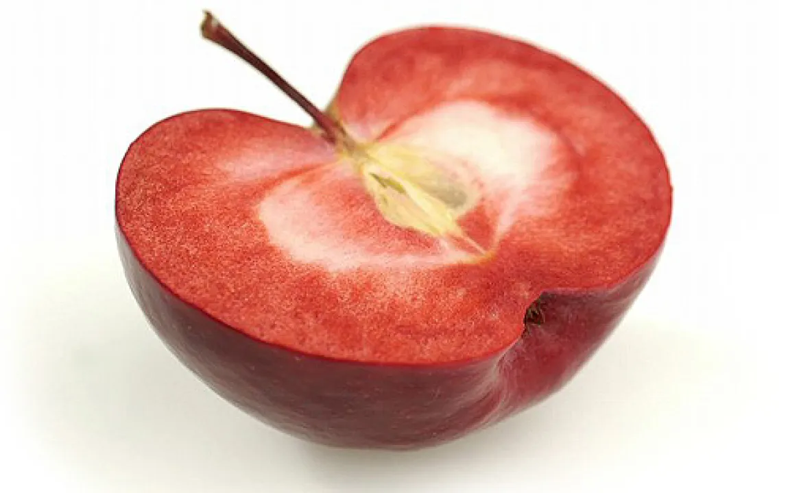 Smart-Breeding – ein neues Züchtungsverfahren zwischen Gentechnik und klassischen Methoden 