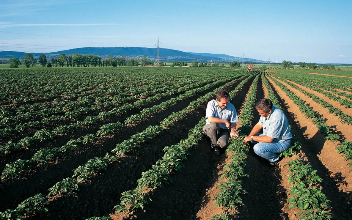 Berater für mehr Lebensmittelsicherheit