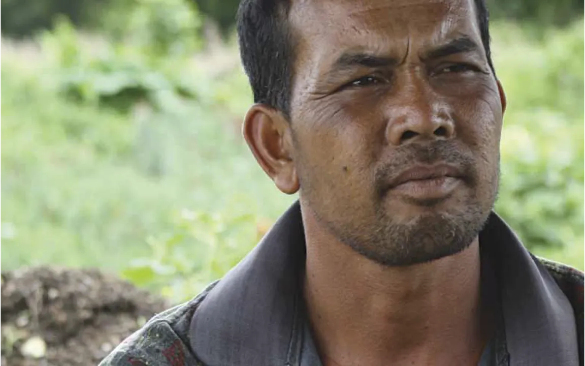 Mit Blumen zu bescheidenem Wohlstand