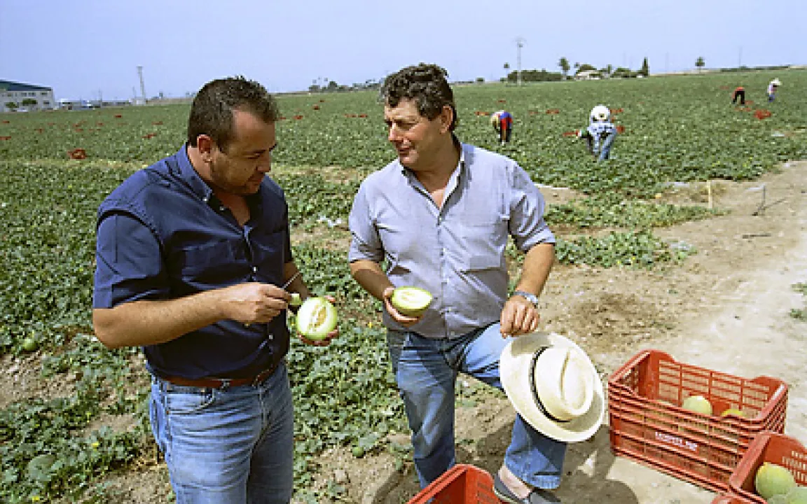 Lebensmittel aus Entwicklungsländern entsprechen europäischen Sicherheitsvorschriften