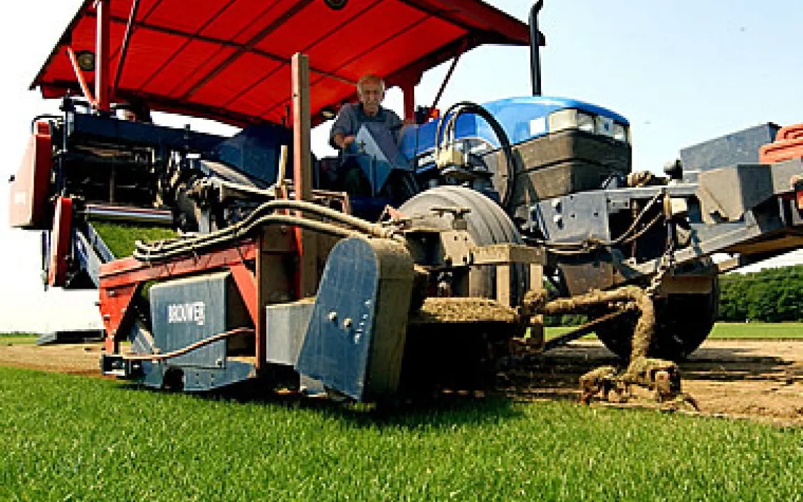 Fertigrasen für den Confederations Cup - nicht ohne Dünger 