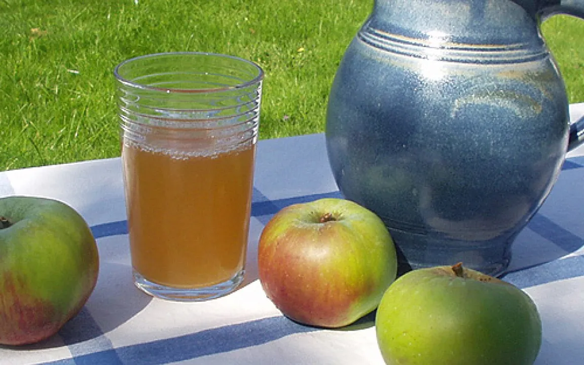 Streuobstwiesen liefern Rohware für hochwertige Apfelsäfte