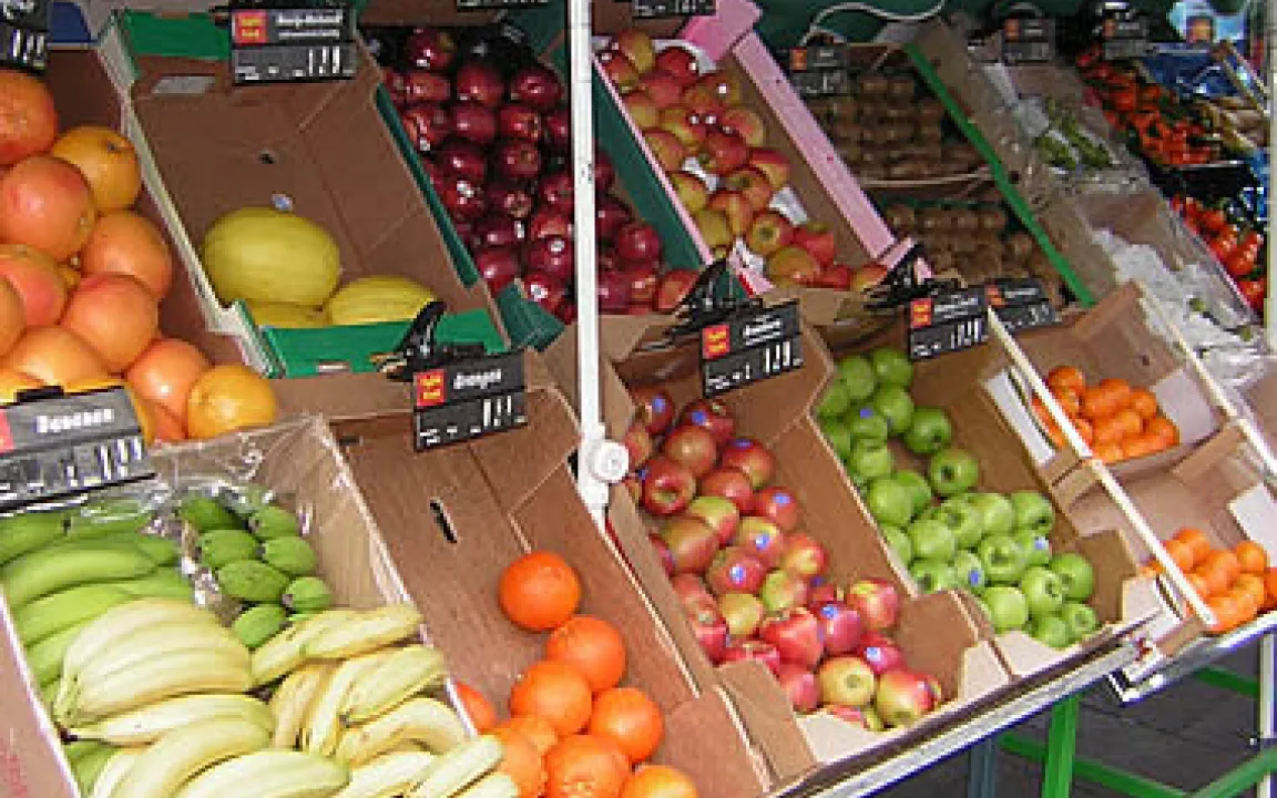 Unterschiedliche Anbauverfahren auf dem Prüfstand 