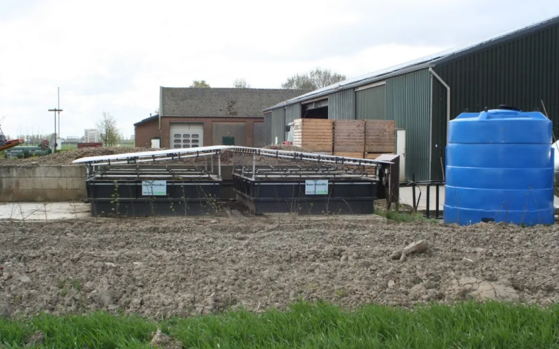 Phytobac für sauberes Wasser: Mikroorganismen reinigen Restflüssigkeiten