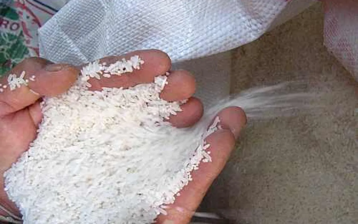 Lautlose Hungerkrise: Gefahr für den Weltfrieden?