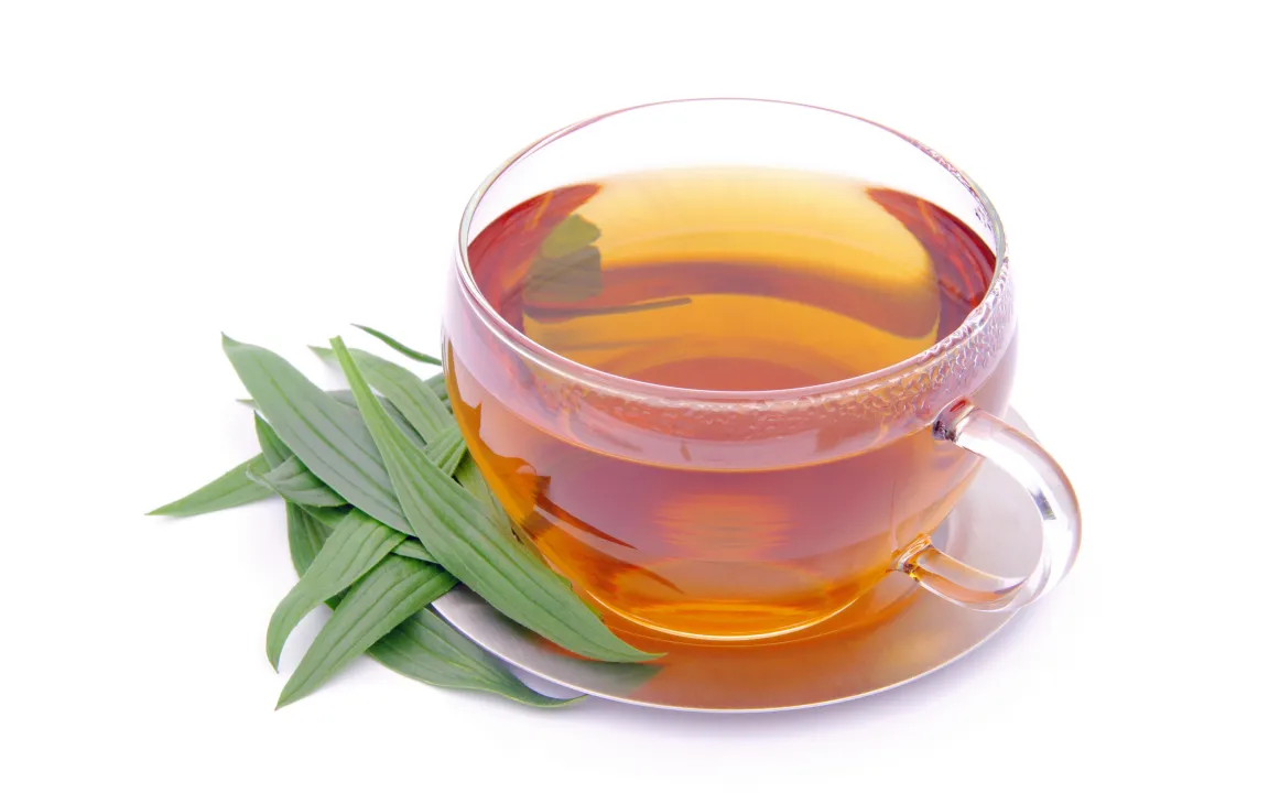 Spitzwegerich ist "Arzneipflanze des Jahres 2014"