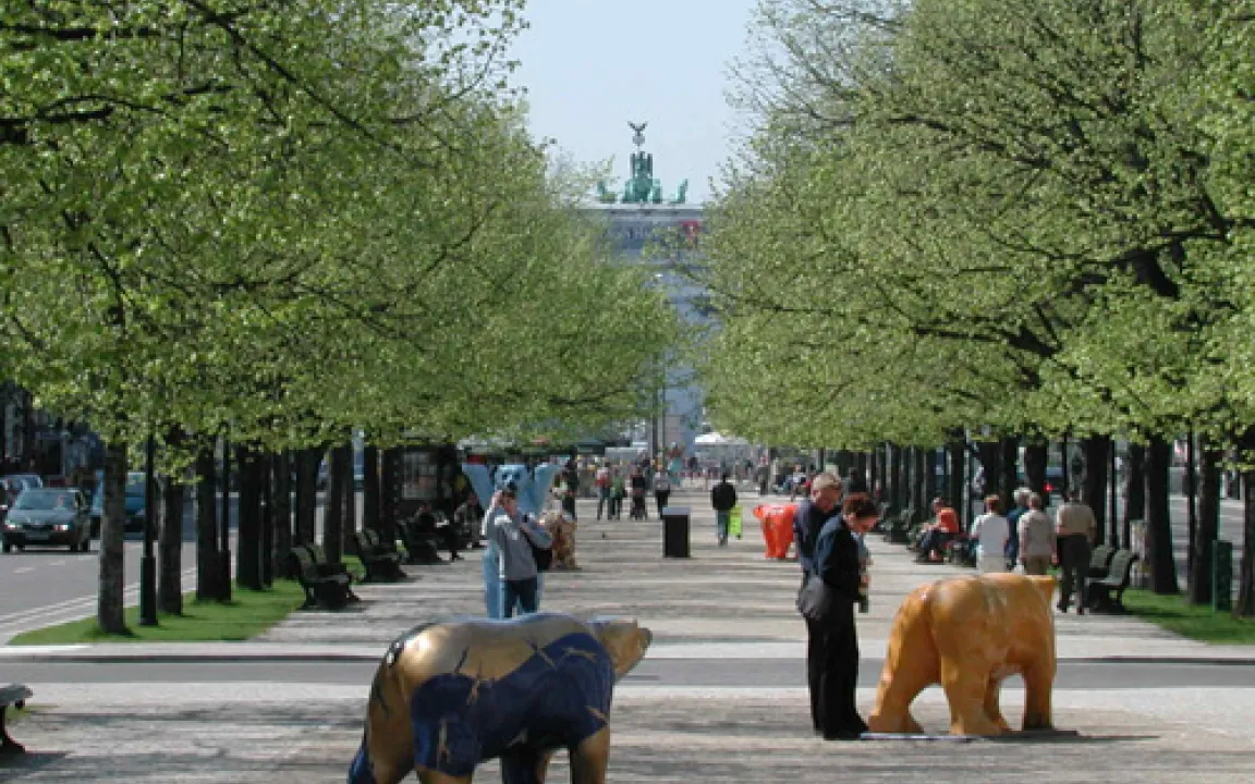 So bleiben unsere Städte grün: Pflege für die Grüne Lunge