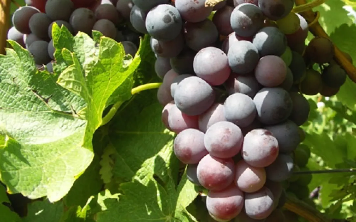 Vom Bannfluch bis zum Hightech-Produkt 