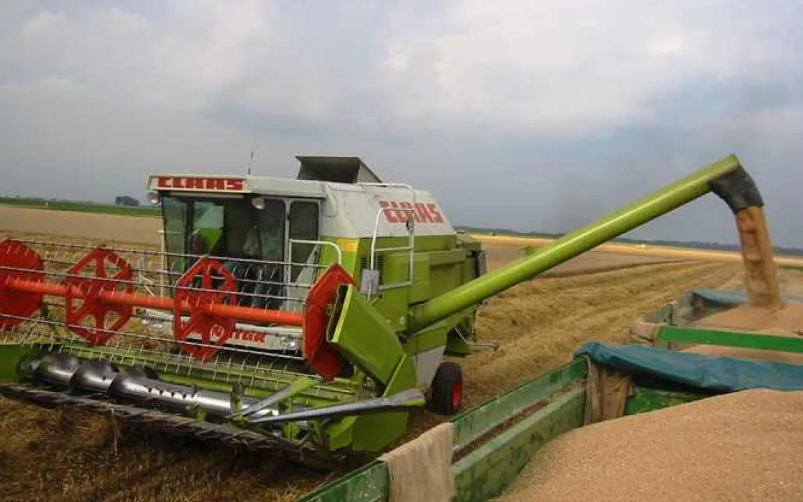 Hitze stresst die Pflanzen und treibt die Lebensmittelpreise