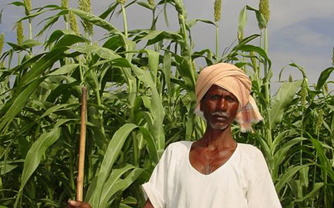 Bio-Kraftstoffe von Dürre-toleranten Pflanzen 