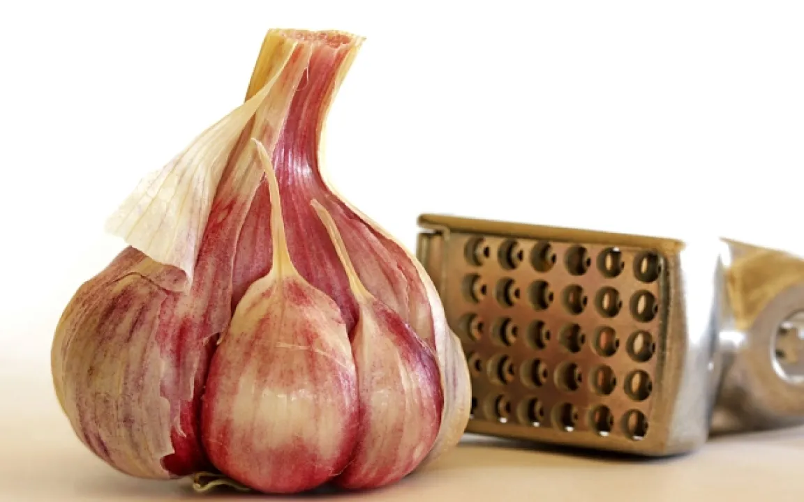 Knoblauch: Zwischen Liebe und Ablehnung