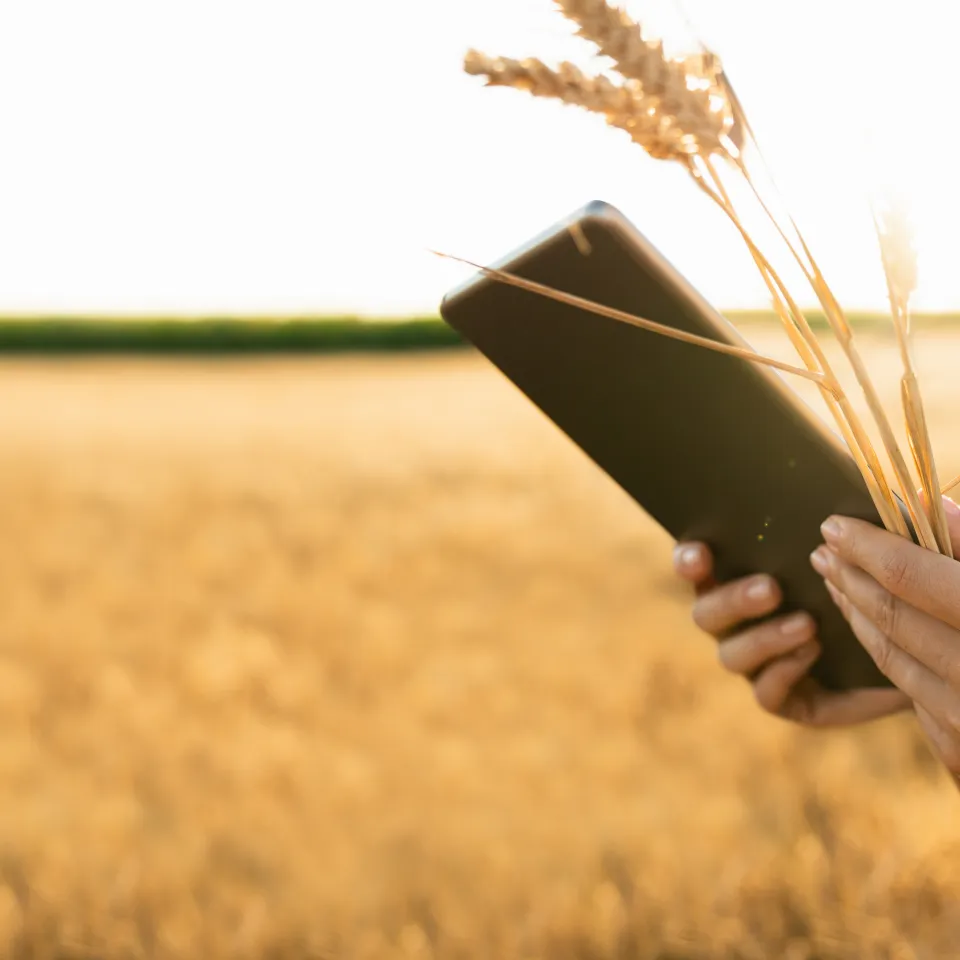 Digitale Landwirtschaft