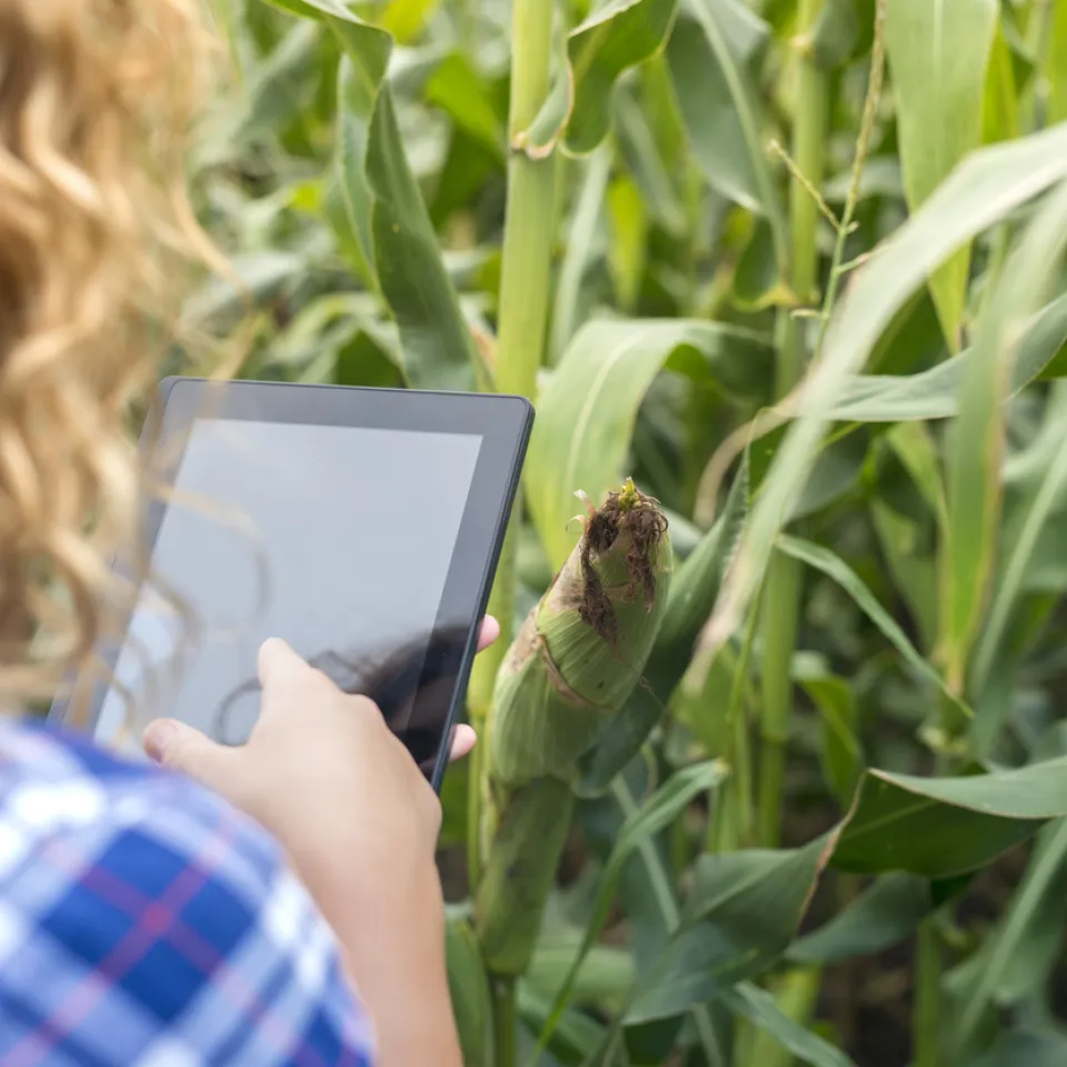 Innovationen entscheidend für Erfolg des europäischen Green Deal