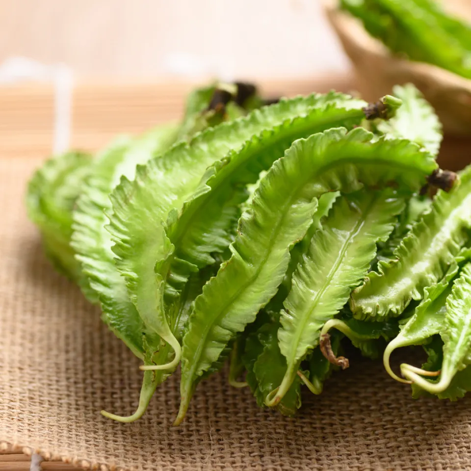 Goabohne: hat Flügel und Knollen