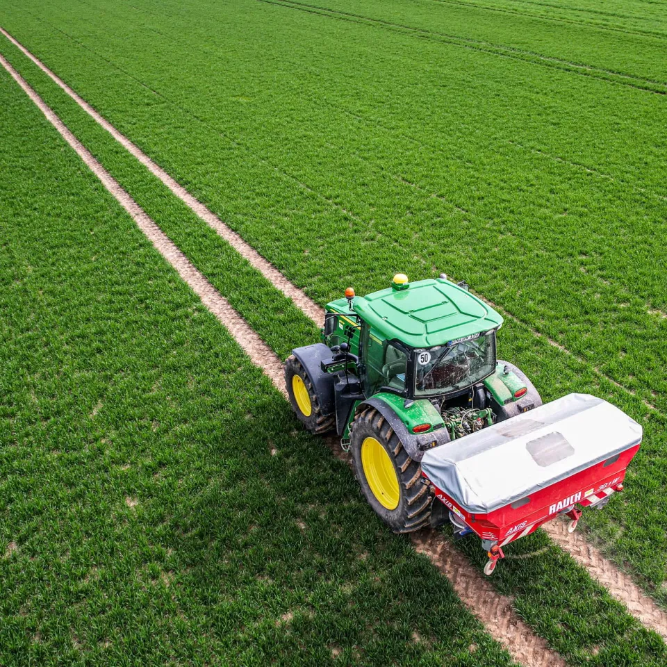 Stickstoffdüngung: Sensor oder Grüner Daumen?