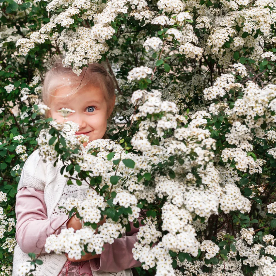 Pflanzen für Kinder