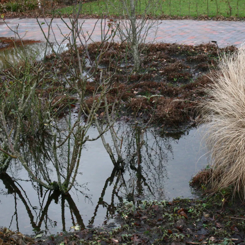 Überschwemmungen – was halten Gartenpflanzen aus?