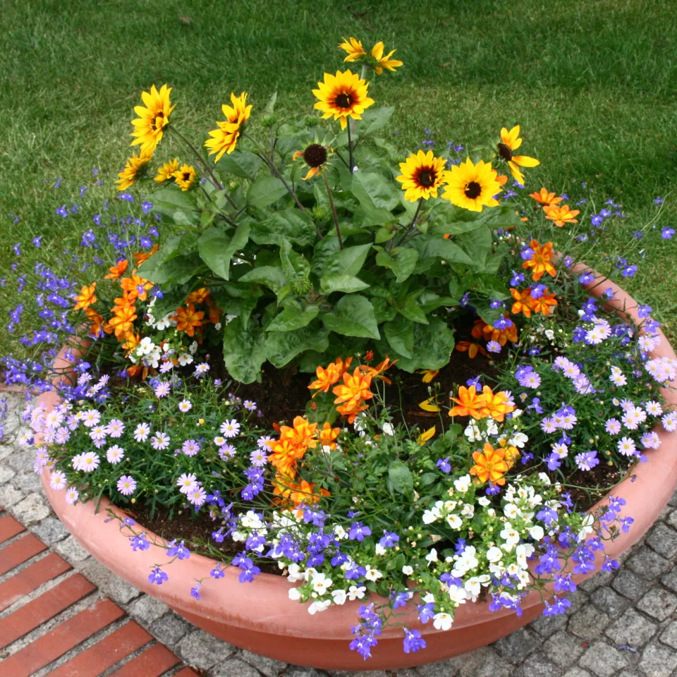 Gebrauchte Blumenerde wiederverwenden?