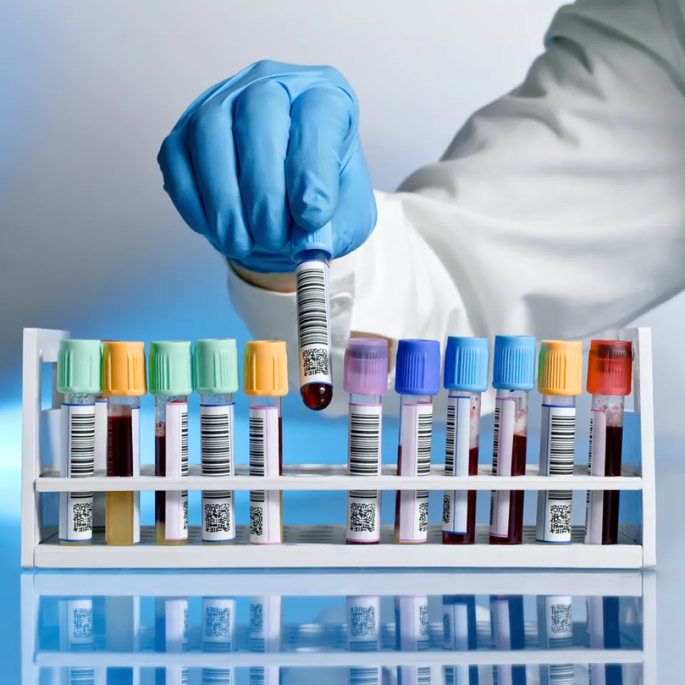 7. März – Tag der gesunden Ernährung