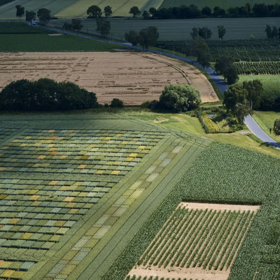 Die Hälfte der Welt