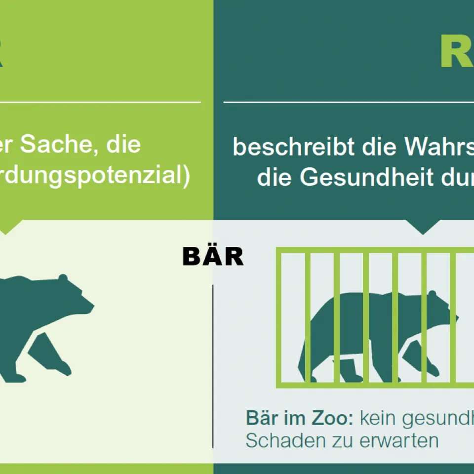 Warum ein Tiger eine Gefahr, aber nicht unbedingt ein Risiko ist