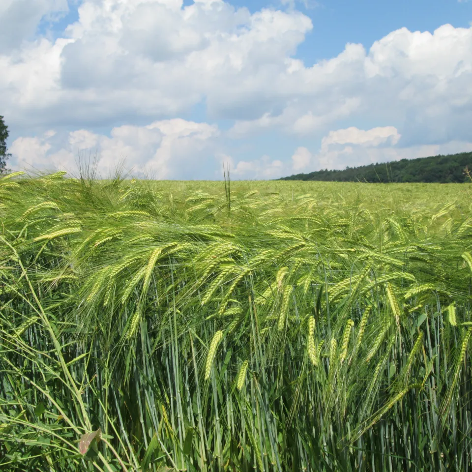 "Zukunftsprogramm" wird seinem Namen nicht gerecht
