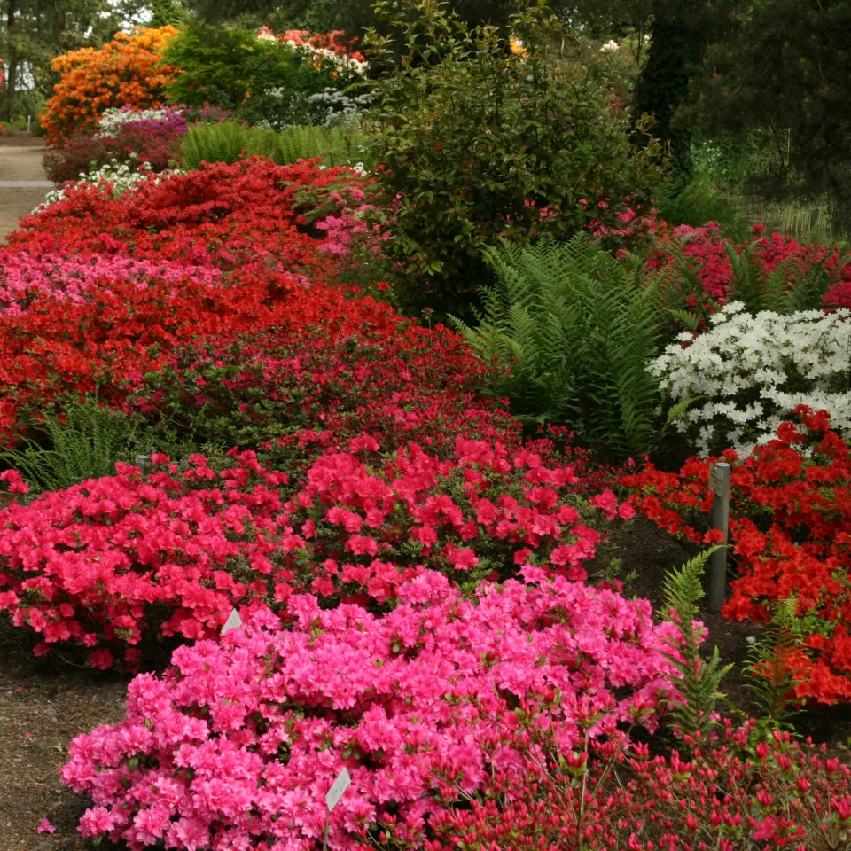 Park der Gärten – Deutschlands größte Mustergartenanlage