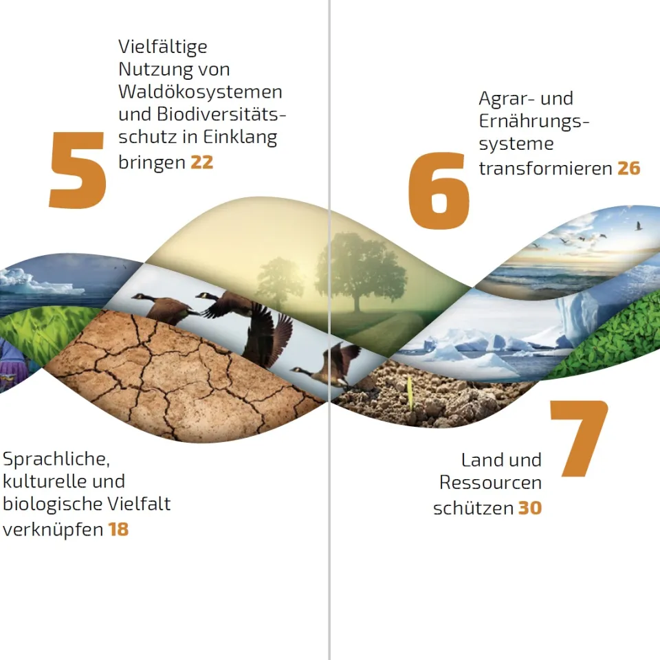 Was Sie schon immer über Biodiversität wissen wollten