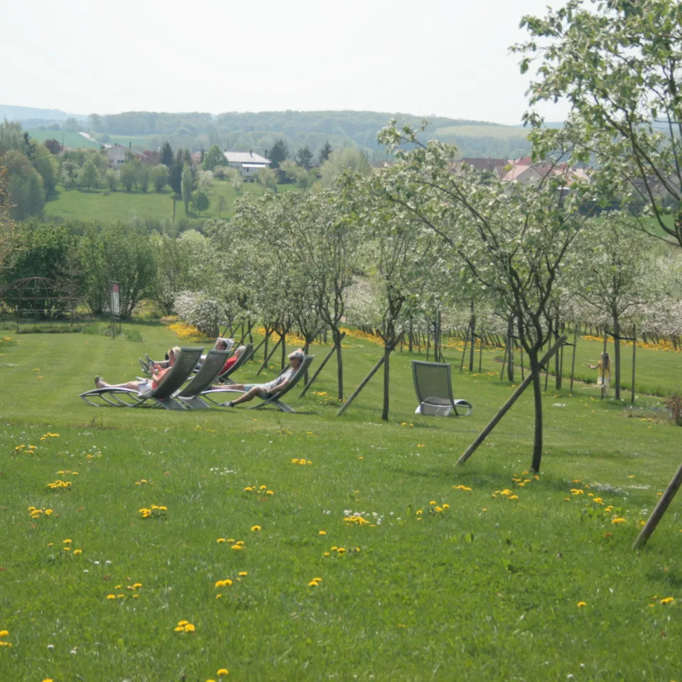 Kleinod in Lothringen: die Obstgärten von Laquenexy