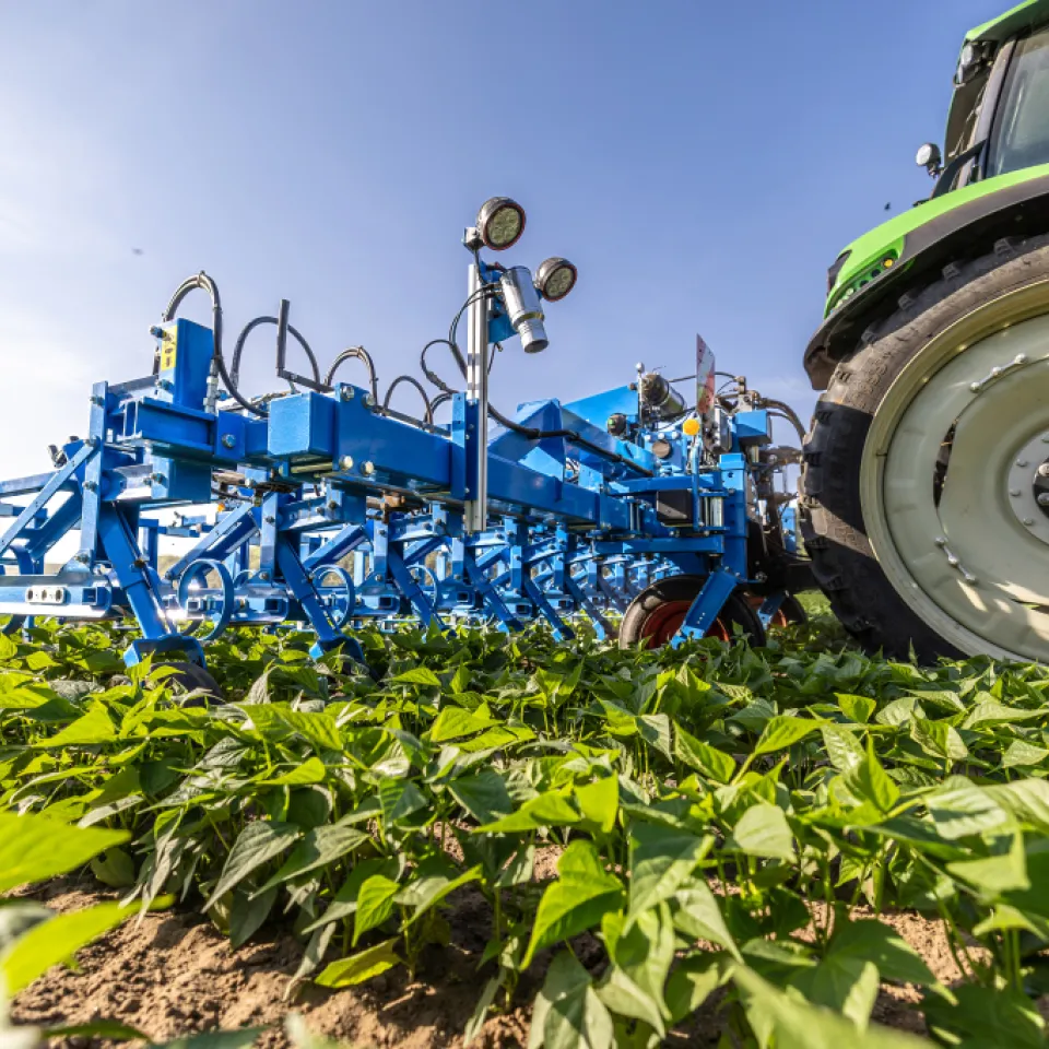 Integrierter Pflanzenbau: Konventionelle Betriebe können es