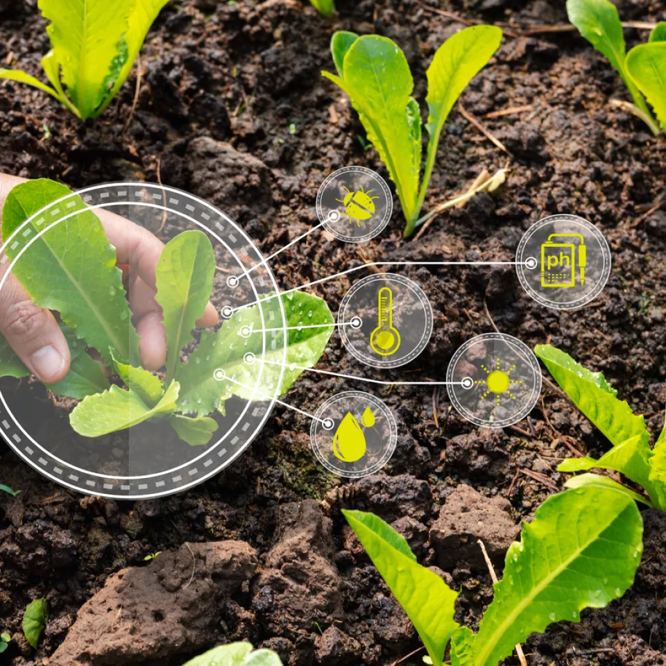 Spot Farming: Weniger Ressourceneinsatz, stabile Erträge