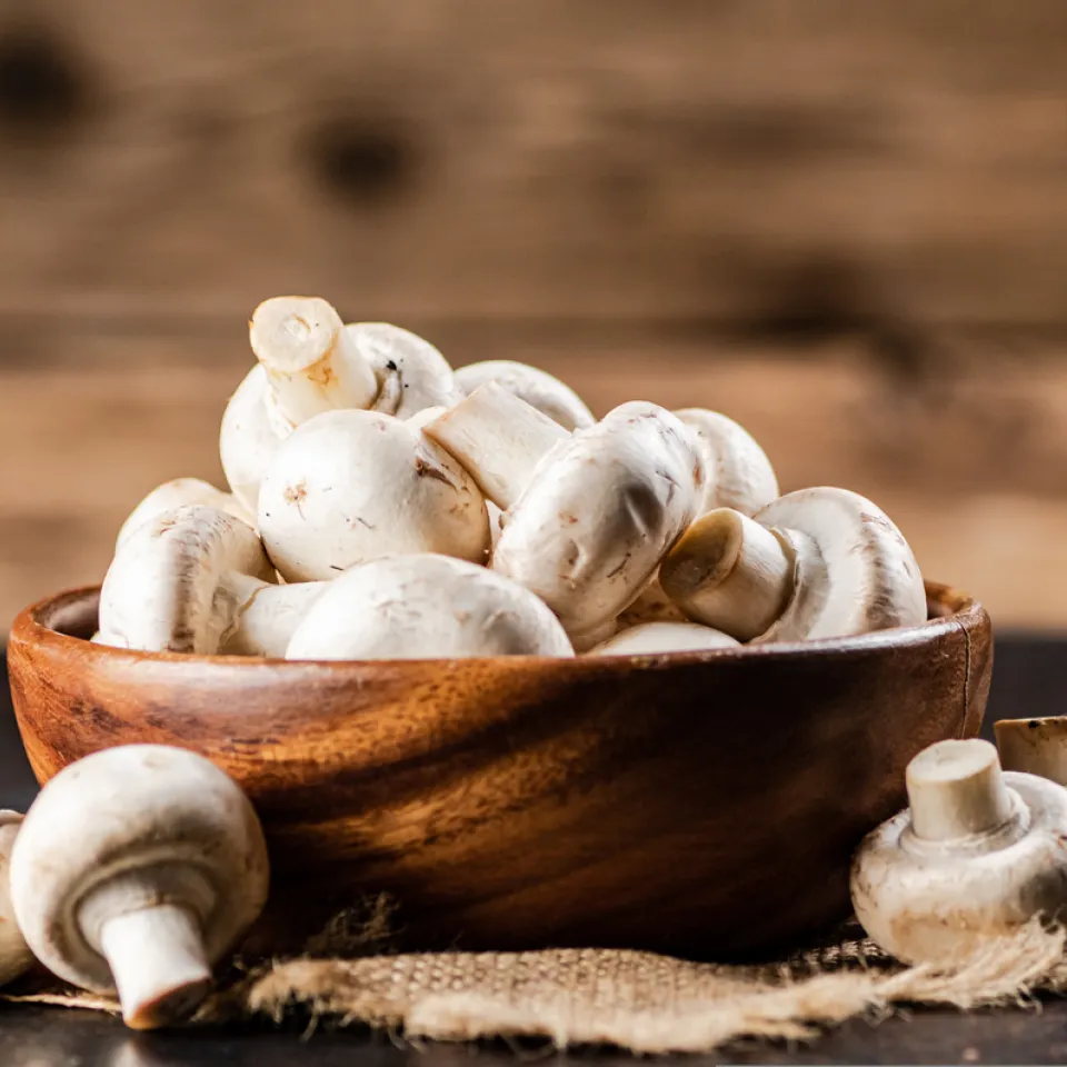 Speisepilz-Verbrauch in Deutschland: Am liebsten Champignons