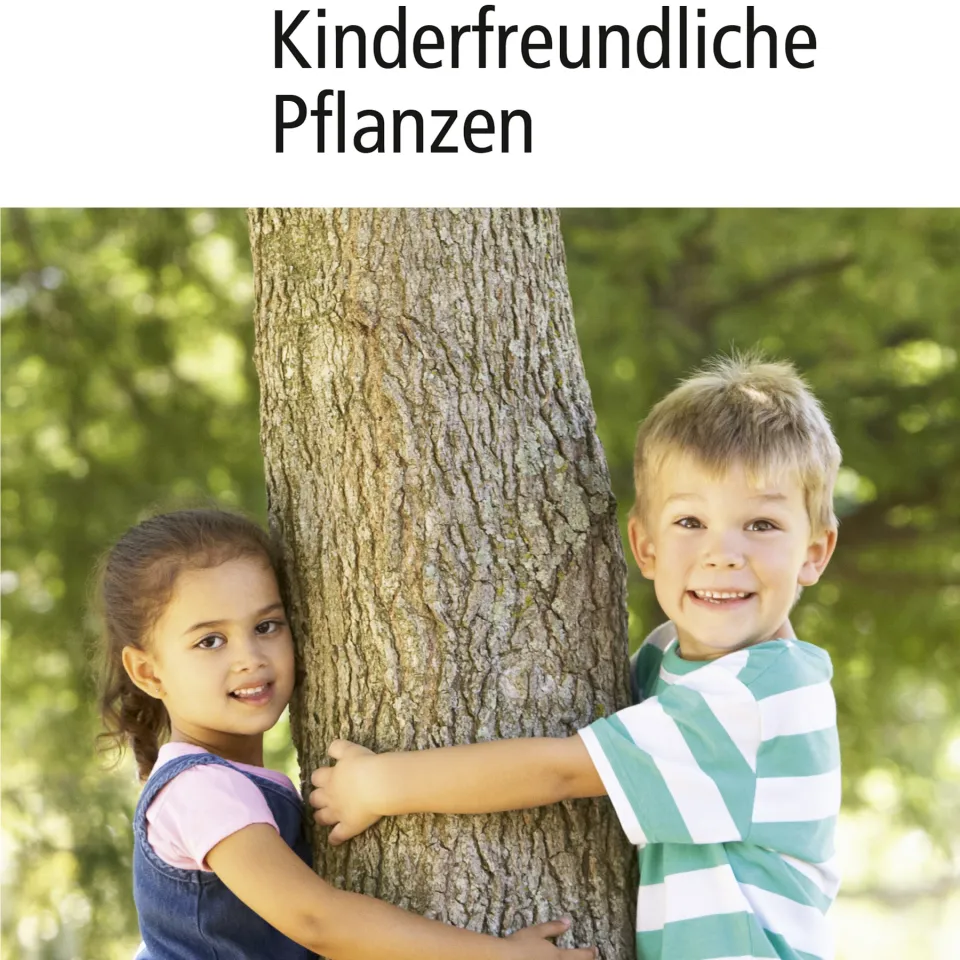 Kinderfreundliche Pflanzen