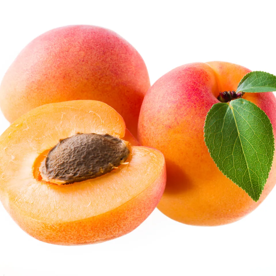Aprikose: Ein kurzes, aber intensives Vergnügen