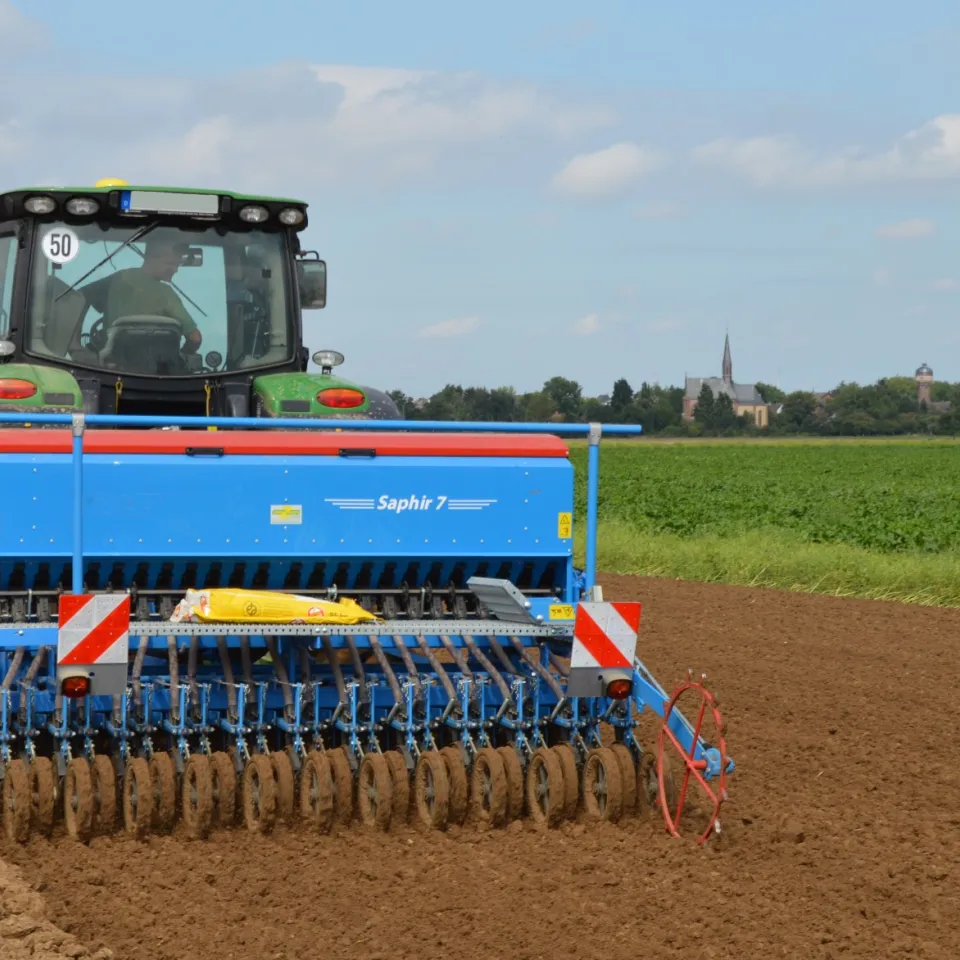 Welche Weizensorte ist die richtige?