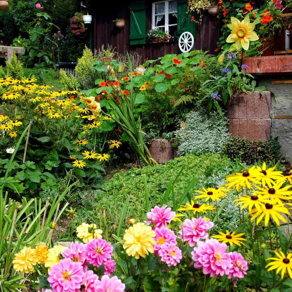 Integrierter Pflanzenschutz ist Umweltschutz im Garten